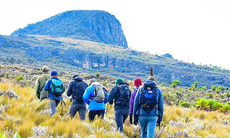 hiking in East Africa
