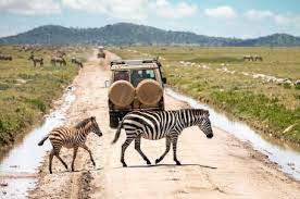 Akagera National Park Game Safari