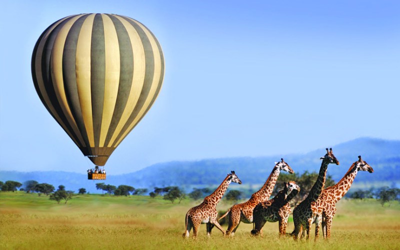 best safaris in uganda