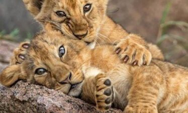 Kidepo valley national park